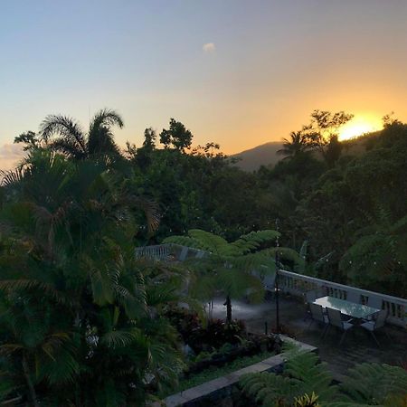 El Yunque Rainforest Inn Rio Grande Exterior photo