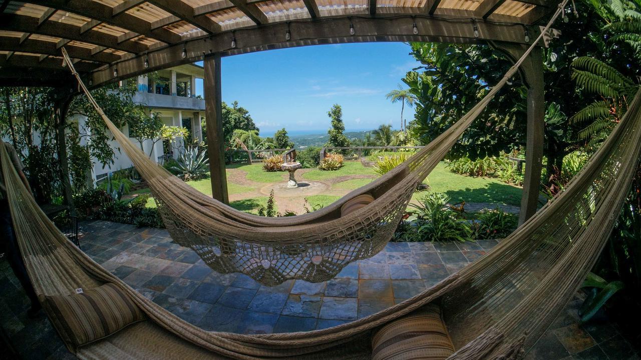 El Yunque Rainforest Inn Rio Grande Exterior photo